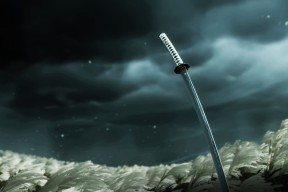 9游app-万乐天赛场表现获教练高度评价，wanle万乐