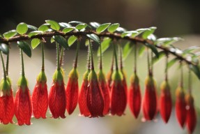 九游娱乐-俱乐部管理层频繁变动影响成绩稳定，俱乐部管理人员架构
