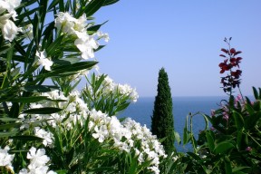 九游博彩-“东部新区定向越野赛：徒步与智慧并肩作战”