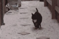 JIUYOU GAMING-运动员训练方法创新计划，运动员的训练计划