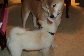 九游娱乐官方-CBA俱乐部深化教练团队专业培训提升训练水平，cba球队教练组组成