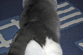 九游中心官网-球队后防高位站位策略是否增加越位风险，后防最好的球队