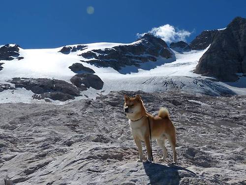 俱乐部经营缺少应对危机的财务储备，俱乐部经营缺少应对危机的财务储备措施