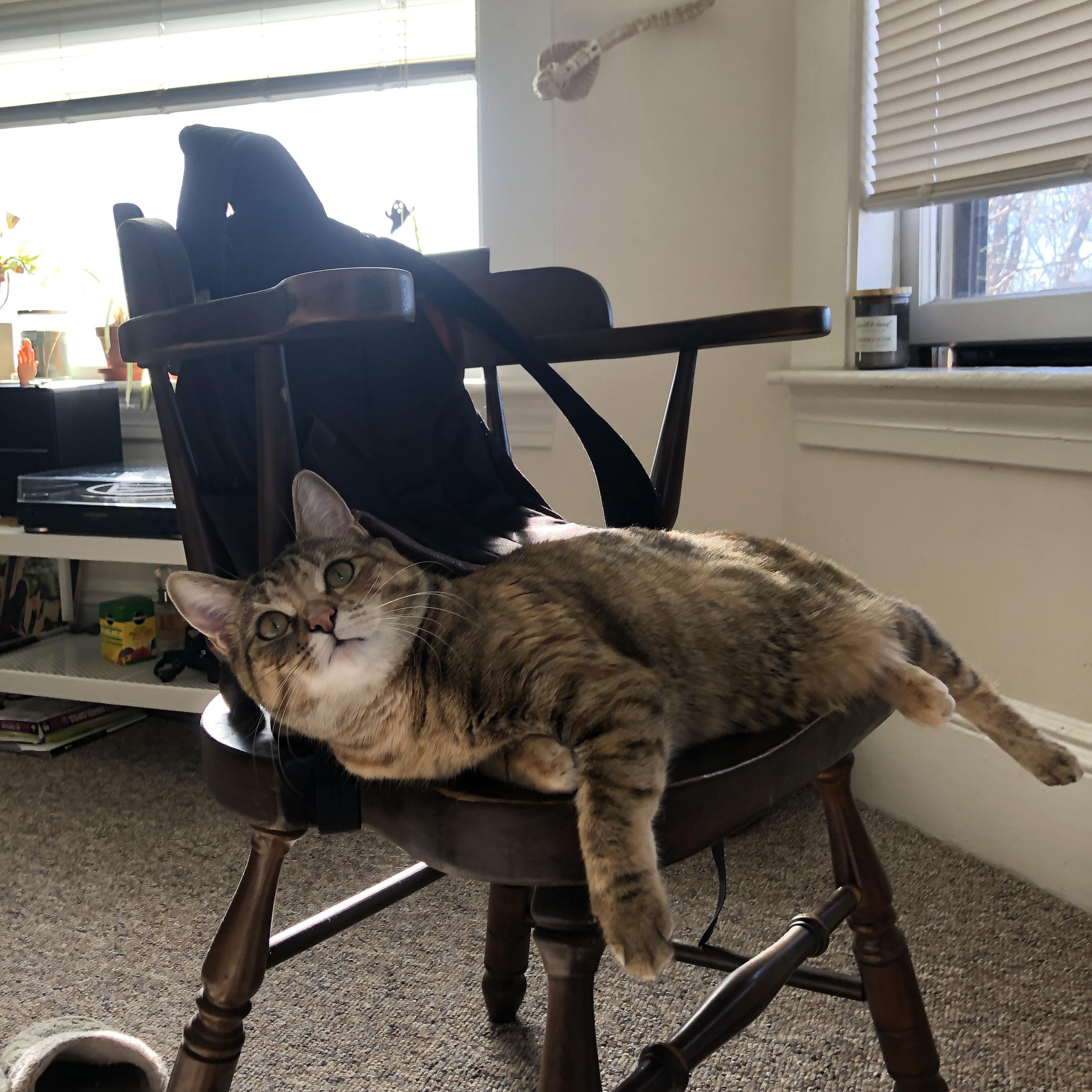 博卡青年主力中场体能不足，后段失势，博卡青年著名球员