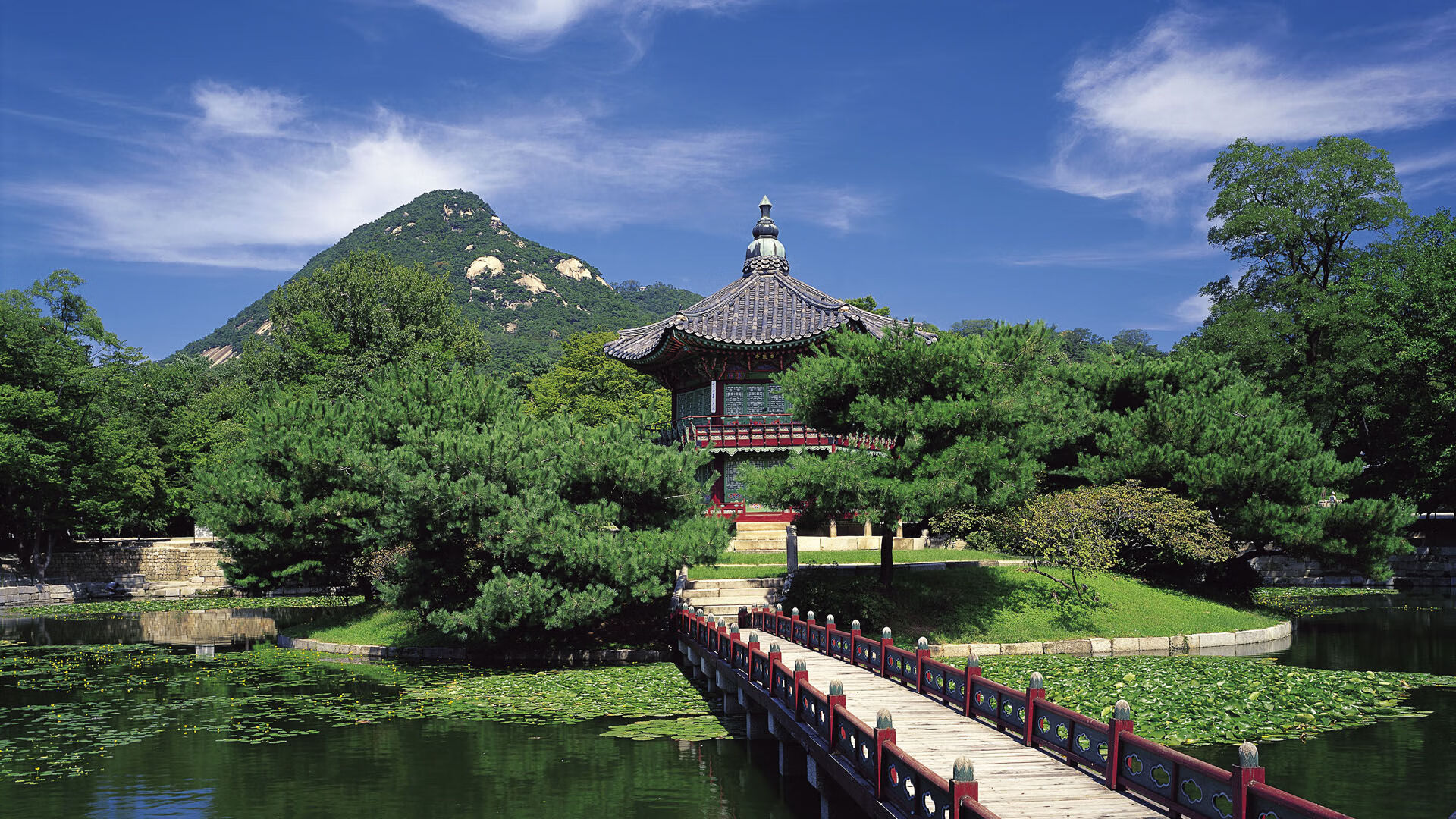 德国队如何应对国际乒联混合团体世界杯新赛制的多重考验,德国乒乓球参赛名单