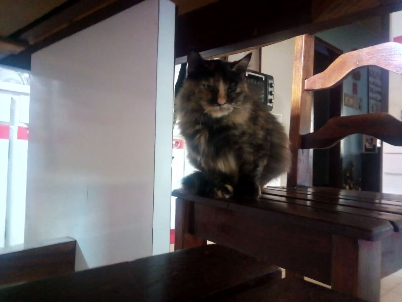 德雷塞尔接力首棒打下坚实基础,德雷塞尔最好成绩