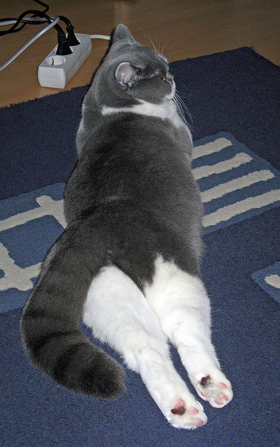 球队后防高位站位策略是否增加越位风险，后防最好的球队