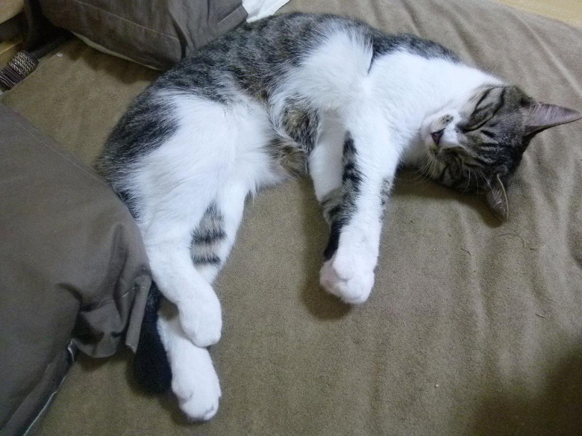 男队精神面貌积极 每位选手状态在线