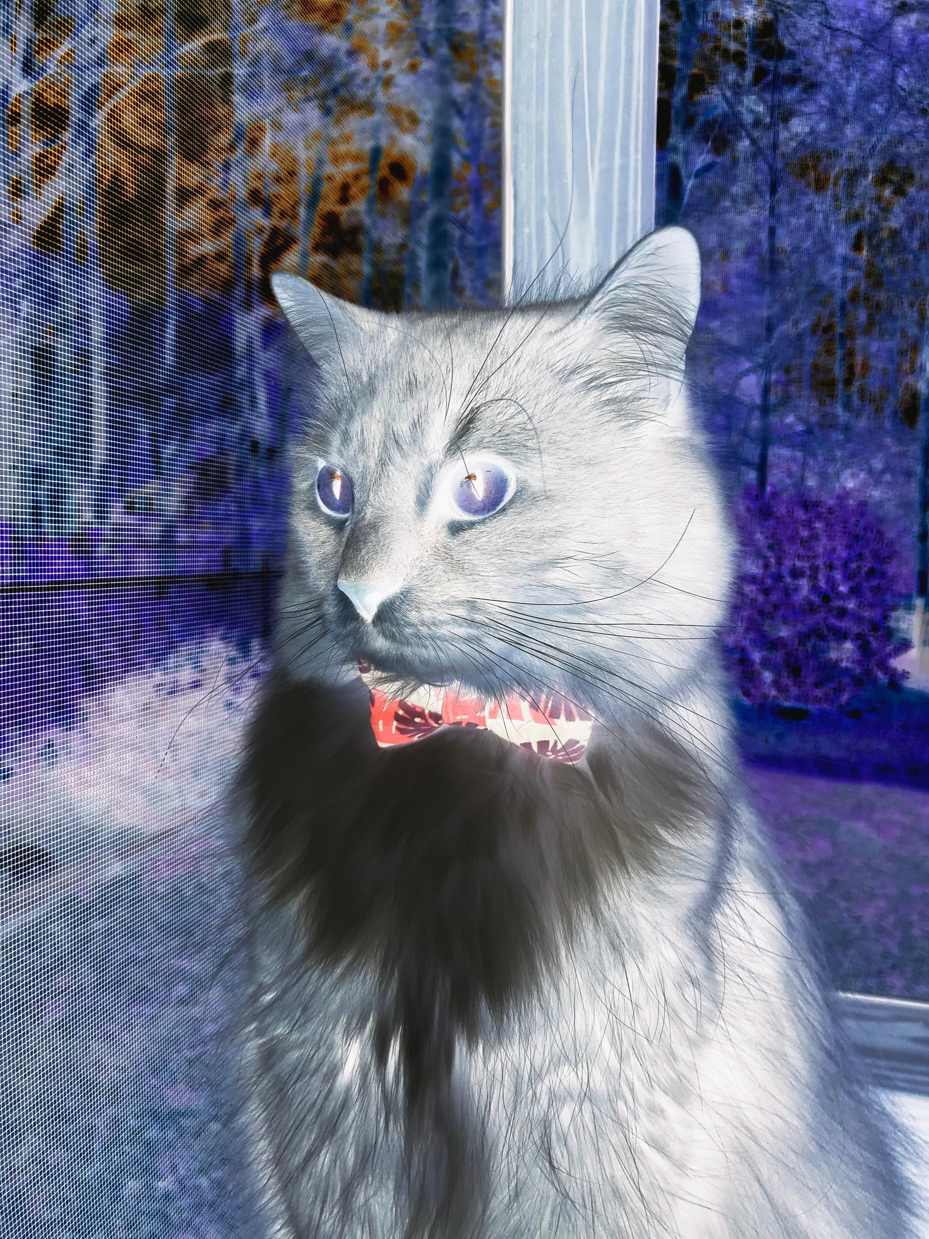 突尼斯希望球员心理抗压能力待提升,突尼斯球星