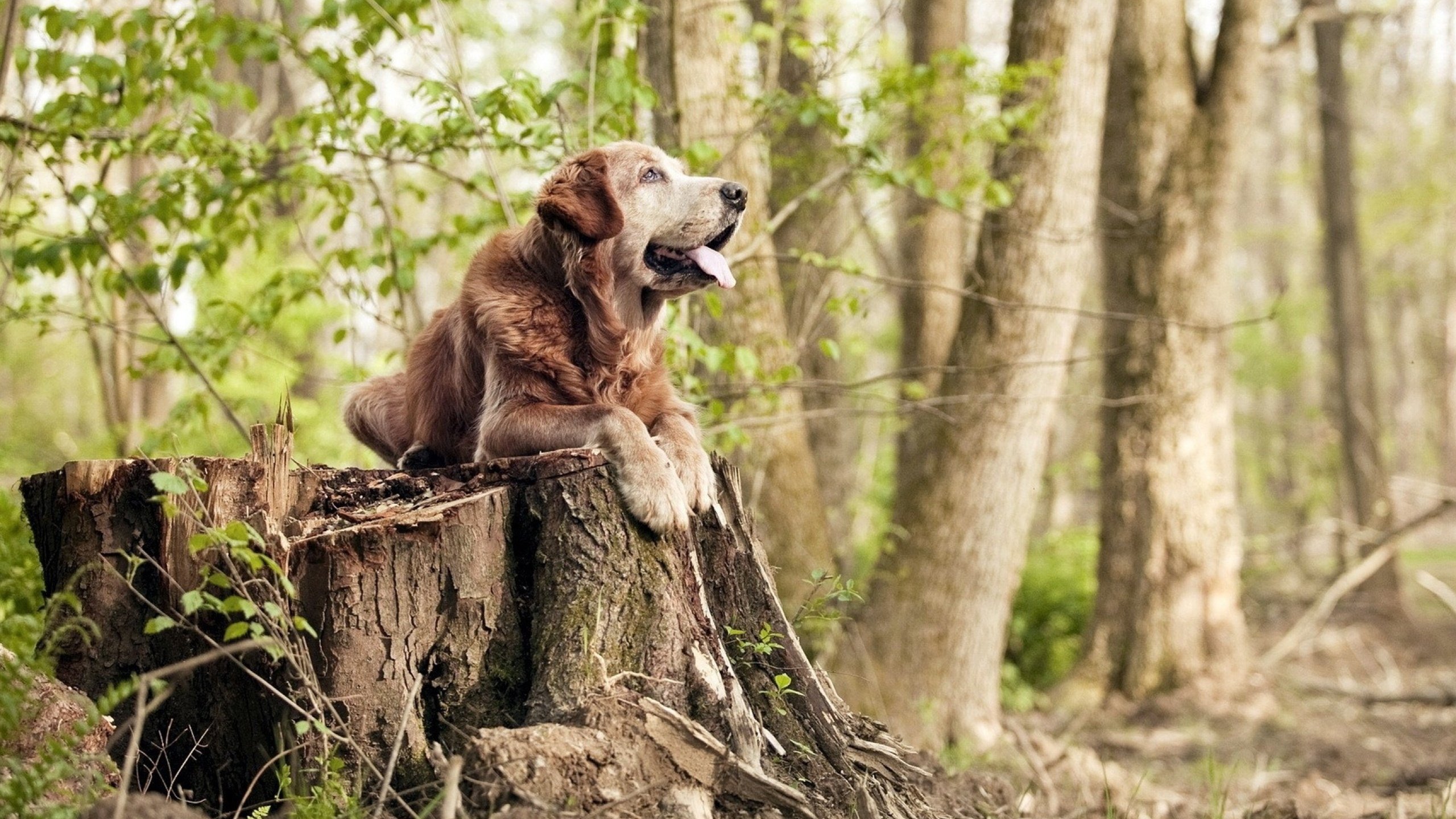 节奏统一是否能提高球队投篮效率,节奏统一步调一致