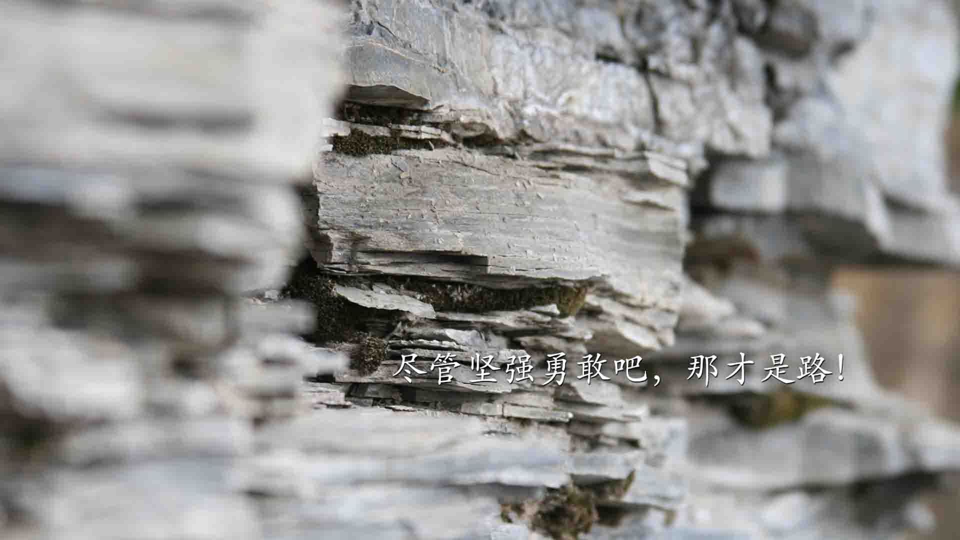 CBA俱乐部深化教练团队专业培训提升训练水平，cba球队教练组组成