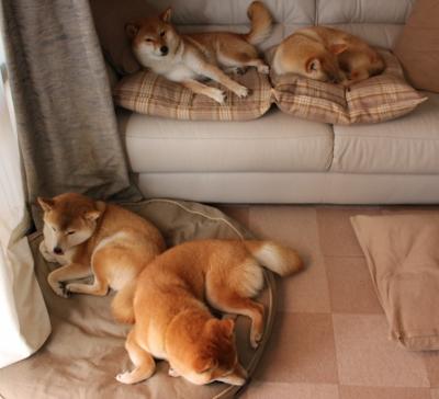 公牛宣布完成内部续约保持核心稳定，公牛签约