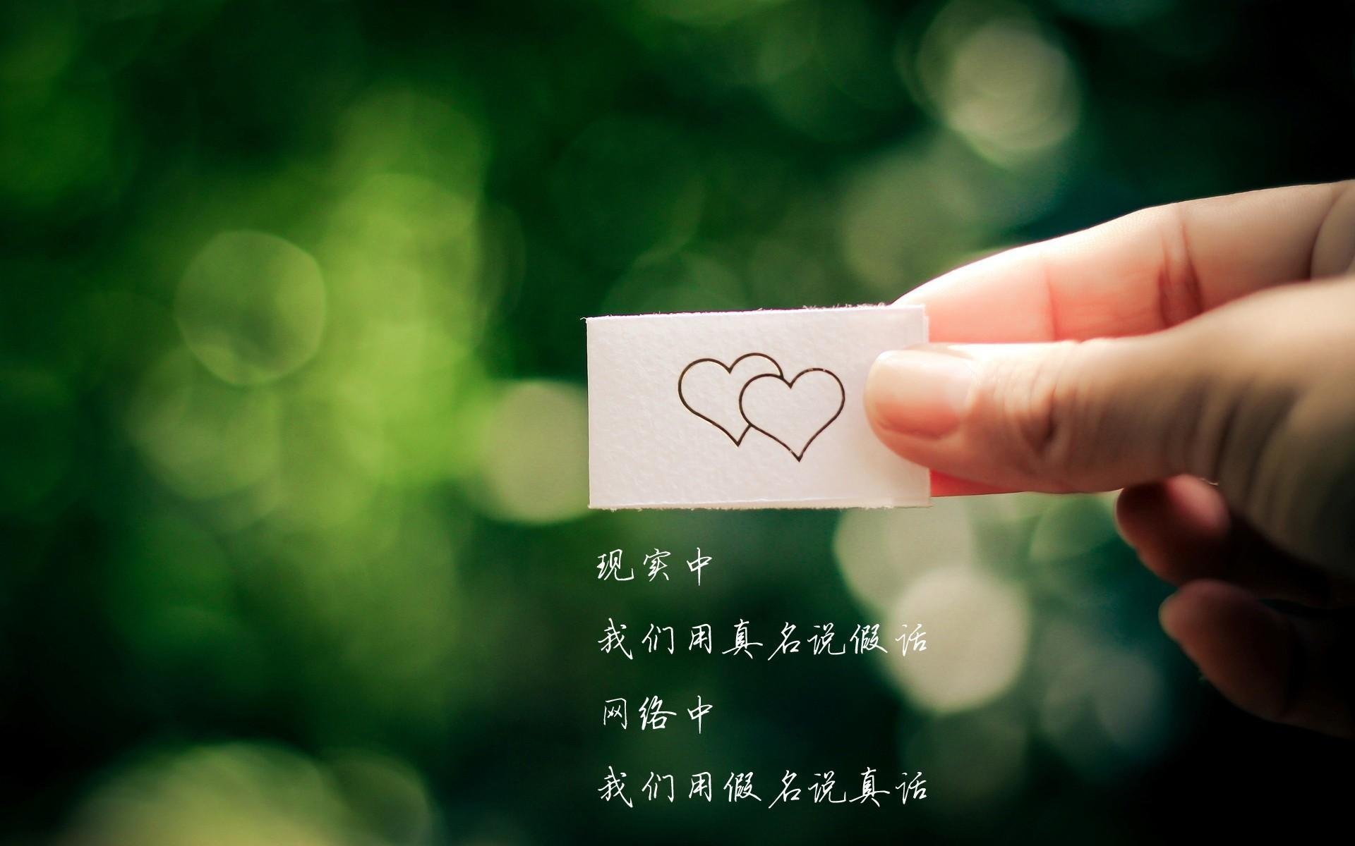 女子国家队战绩创新高,中国女子国家队成员